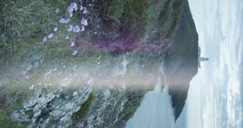 Forgetting to cover the viewfinder during a long exposure...