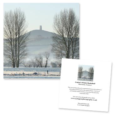 “Avalon's Winter Bookshelf” greeting card